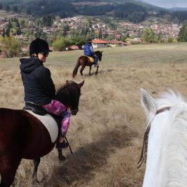 Dona Guest House - Horse Riding, hotel in Koprivshtitsa