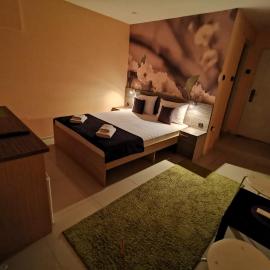 Niš City Center Guest House, hotel in Niš