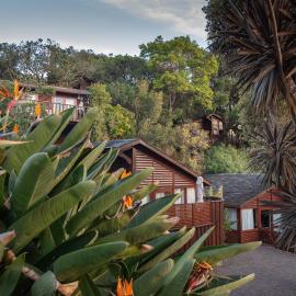 Under Milkwood Resort, Hotel in Knysna