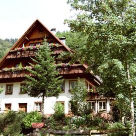 Bartleshof, hotel in Wolfach