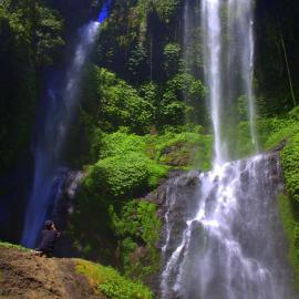 Ananda Homestay, hotel in Singaraja