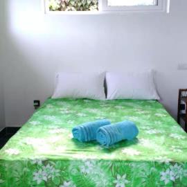 Jambolana Studio