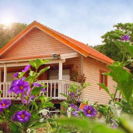 The Beautiful Cabins