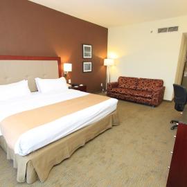 Holiday Inn Leon by IHG