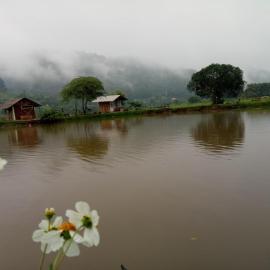 Samoeng fishing park home stay, hotell sihtkohas Samoeng