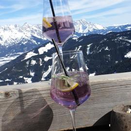 Ferienhaus Pöttler, hotel in Untertauern