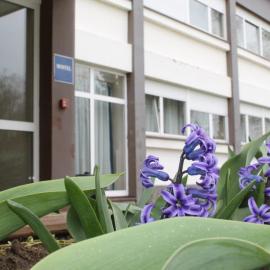 Viesnīca Hostel Rakitje-Rakitje pilsētā Rakitje