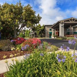 Holiday Inn Express & Suites Carpinteria by IHG، فندق في كاربينتيريا