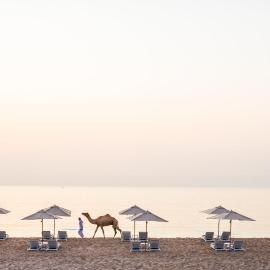 InterContinental Fujairah Resort by IHG, hotel in Al Aqah