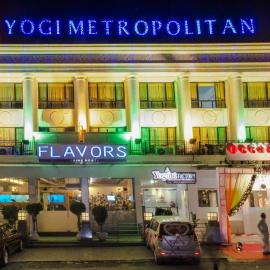 Yogi Metropolitan