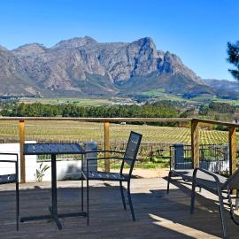 Topiary Wine Estate & Cottages, Hotel in Franschhoek