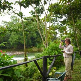 Chilamate Rainforest Eco Retreat, hôtel à Puerto Viejo