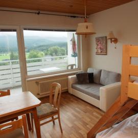 Mountain View Apartment