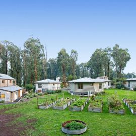 Karma Kinglake