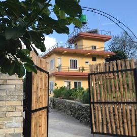 Mone's Mountain View Hotel, hotel u gradu 'Kāskī'