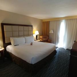 Wyndham Houston at Reliant Park & Medical Center、ヒューストンのホテル