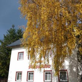 Villa Plischke, hotel in Lipova Lazne