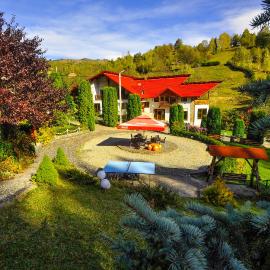 Pensiunea Eladi, hotel a Borşa
