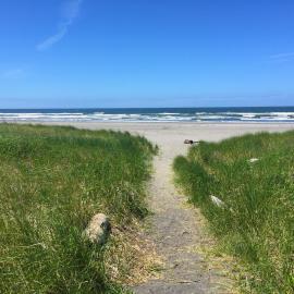 Long beach Camping Resort Yurt 9, hotel en Oceanview