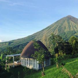 Manulalu Jungle, отель в городе Bajawa