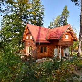 Leśny Domek koło Karpacza - Apartamentuj