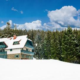 Apartma Borovnica Rogla, Hotel in Vitanje