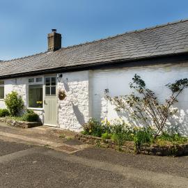 The Neuadd Cottages
