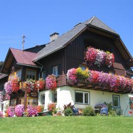 Bauernhof Haim-Schnepfleitner