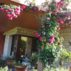 La Dolce Vita, hotel em Montecchia di Crosara