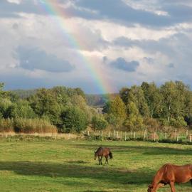 Agroturystyka Mętno 18, hotell sihtkohas Mętno