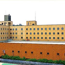 Ishinomaki Grand Hotel – hotel w mieście Ishinomaki