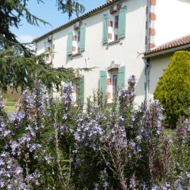 Chambres d'hôtes Le Cartounier, hotel a Pinel-Hauterive