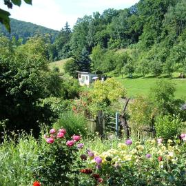 Ferienwohnungen "allerleigrün"