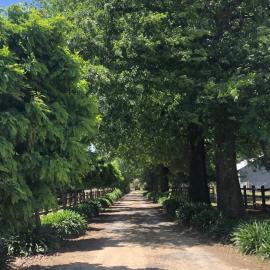 Oak Lane Guest House & Farm Stay, hotel in Whorouly