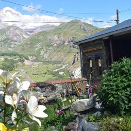 Look-View Kazbegi