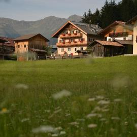 Haus Schaller