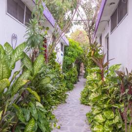 Hotel Aventura, hotel v destinaci Mérida