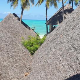 Organic Roots Villa