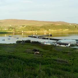 Harbor View