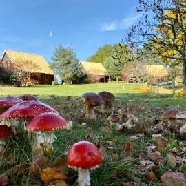 Chalets de l Empereur, hotel u gradu Ussel