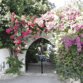 The Bunch Of Grapes Inn, хотел в Писури