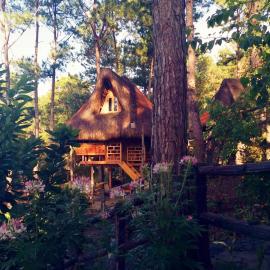 Sagada Heritage Village, hotel di Sagada