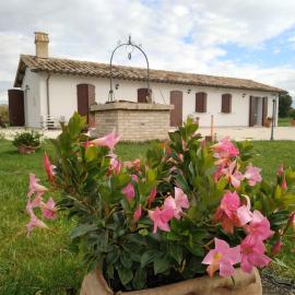 AGRITURISMO " LE SERRE"