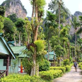Chill Out Bar and Jungle Bungalows