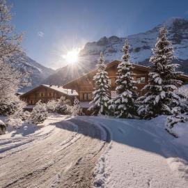 Chalet Dolphin NEW!
