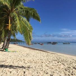 Viesnīca MOOREA - Fare Taina Dream pilsētā Hauru