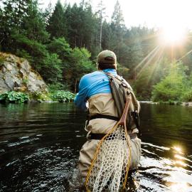 Holiday Inn Express Yreka-Shasta Area by IHG, hotel em Yreka