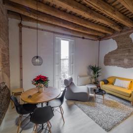 Luxury Apartment Stancesvic, hotel en Vic