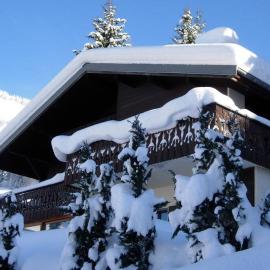 Chalet Les Erines、シャテルのホテル