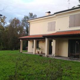 Al picchio verde